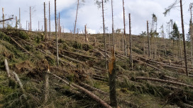 Eventi meteorologici estremi e strategie di adattamento in Alto Adige