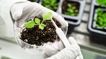 Grüne Gentechnik: Reden wir darüber!